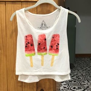 Boutique Watermelon Popsicle Crop Top